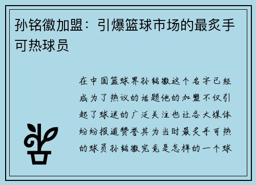 孙铭徽加盟：引爆篮球市场的最炙手可热球员